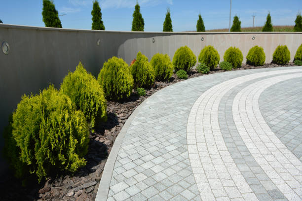 Best Local Driveway Pavers  in University Heights, IA